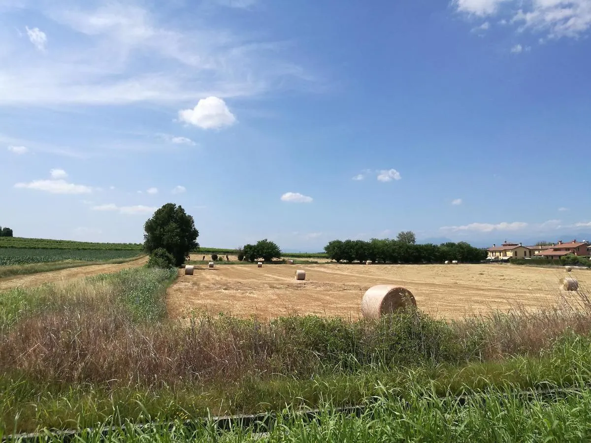 La Casetta, Appartamento Nel Verde A Sommacampagna
